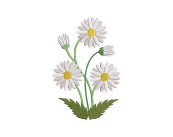 Ricamo a macchina di fiori di camomilla bianca con foglie: motivo naturalistico