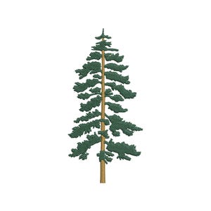 May include: An embroidered design of a tall evergreen tree. The tree features a brown trunk and dark green, textured needles. The design is set against a clean white background, highlighting the detailed stitching.