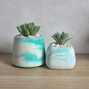 May include: Two decorative succulent planters. The planters are white with a turquoise marbled design. Each planter contains a green succulent and small white pebbles. The planters are on a wooden surface.