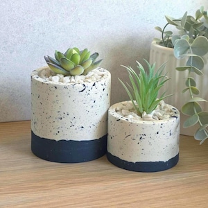 May include: Two cylindrical planters with succulents. The planters are speckled with black and white, with a dark blue base. One planter is larger than the other. The plants are green and surrounded by small white stones. The planters are on a wooden surface.
