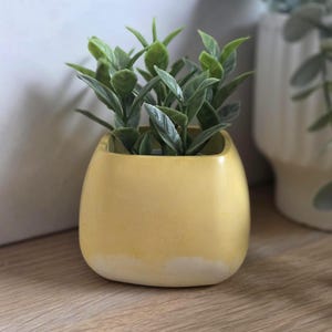 Small Yellow Plant Pot | Modern Bright Yellow Planter