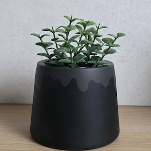 May include: A black, contemporary planter featuring a dark grey, undulating pattern near the rim. It contains a thriving green plant with numerous stems and small, rounded leaves. The planter is placed on a wooden surface.