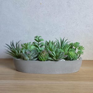 Oval Succulent Planter with Artificial Succulents | Oval Plant Pot with Succulent Arrangement