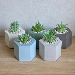 May include: Five hexagonal concrete planters in various colours: light blue, grey, white, and green. Each planter holds a small succulent plant and is filled with white pebbles. The planters are arranged on a wooden surface.