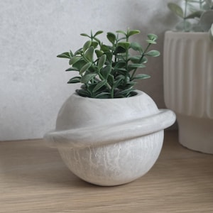 May include: A small, light grey concrete planter shaped like a planet, with a ring around the middle. It contains a small, green plant with many leaves. Another white planter is visible in the background.