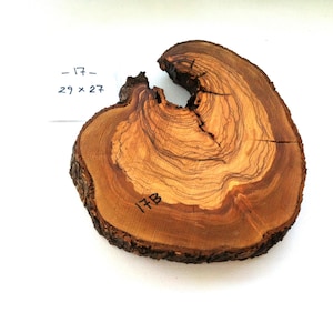11.4x10.6 inc./29x27 cm. Olive Wood Root Slice, Live Edge Olive Wood Slab, Raw Edge Wood Cookie, Burl Wood For Epoxy, For Resin Table.
