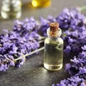 Natural Lavender Oil