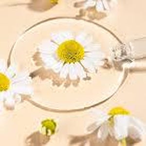 Natural Chamomile Oil