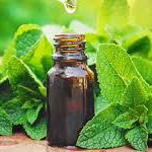 May include: A small, dark amber glass bottle with a dropper is surrounded by fresh, green mint leaves. A drop of liquid is falling from the dropper. The image is set against a blurred green background, suggesting a natural product.