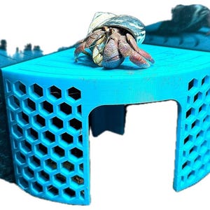 Hermit crab accessory