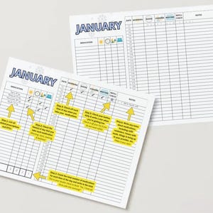 May include: Two white paper medication tracker sheets with the month of January printed at the top. One sheet has a detailed medication schedule with check boxes and instructions. The other sheet is a blank medication tracker.