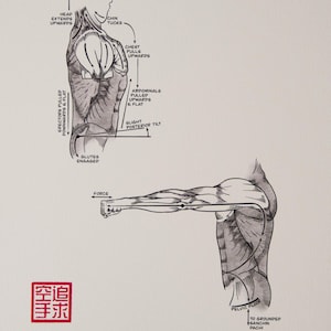Karate Wall Art | Chain of Engagement Version 1 – Sanchin Kata Standard | Dojo Print (8x10)