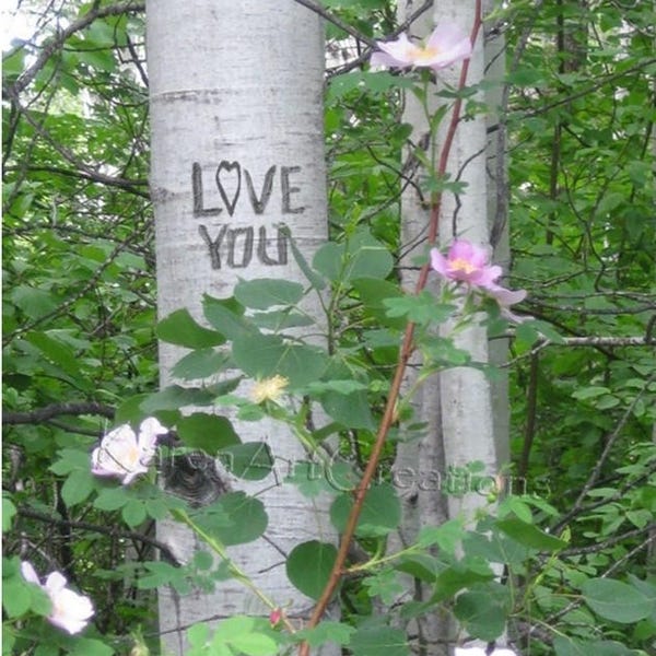 Love You, Digital tree carving with message, Aspen Trees, Instant Digital download, Under 5 dollars, Scenic Photography, Gift