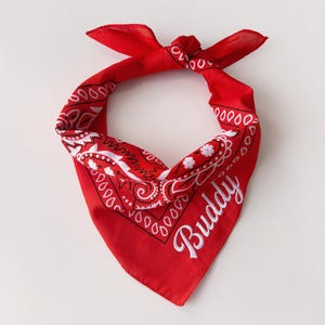 Op de afbeelding: Een rode bandana met een wit paisley patroon en de naam "Buddy" geborduurd in witte letters. De bandana is aan de bovenkant geknoopt, waardoor een driehoekige vorm ontstaat. De stof is effen rood.
