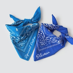 Può includere: Due bandane blu con motivi paisley bianchi, annodate in alto. Una è blu chiaro con "Squeeel Patrol", l'altra blu scuro con "Oliver". Sono in cotone.