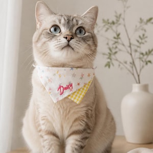 Puede incluir: Un gato de color claro con ojos azules lleva un pañuelo triangular para mascotas de color blanco con un patrón de pequeñas estrellas multicolores y el nombre Daisy bordado en hilo rosa, sobre una esquina de tela de cuadros vichy amarilla y blanca.