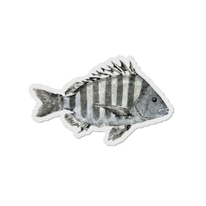 May include: A watercolour illustration of a fish with a striped pattern in shades of grey and white. The fish has detailed fins and tail design, set against a white background. The artwork has a sticker-like appearance.