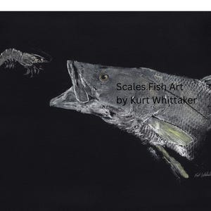 Midnight Snack: Snook & Shrimp – 18 X 24 Gyotaku Fish Print, Japanese Fish Art, Archival Coastal Wall Decor for Anglers and Ocean Lovers