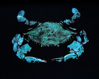 Blue Crab Art Print (reproduction): Coastal Marine Life Wall Decor