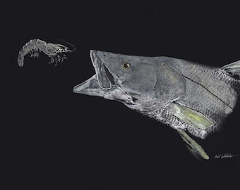 May include: A detailed illustration of a fish with an open mouth, poised to catch a shrimp. The artwork is in shades of gray and white against a black background, showcasing the fish's scales and fins.