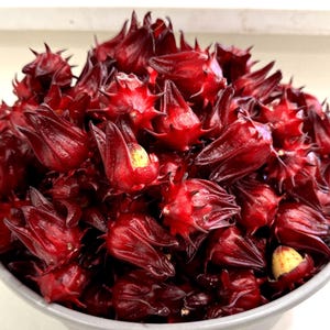 フロリダ産ローゼル（Hibiscus sabdariffa）の種子 – 伝統品種、食用、非遺伝子組み換え。お茶、ジャム、料理、トロピカルガーデンに最適です！