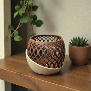 Orchid Planter Pot with Drainage - Indoor Plant Gift - Monstera image 18