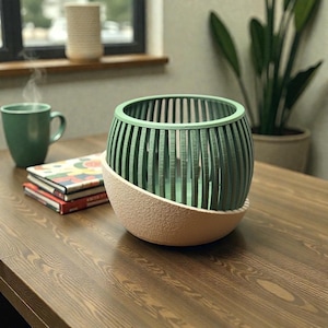 Orchid Planter Pot with Drainage - Indoor Plant Gift - Monstera