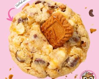 Biscoff Stuffed Cookie Butter Cookies with Chocolate Chips, Chewy Baked Treat