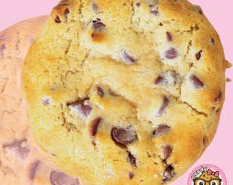 Double Chocolate Chip Cookies: Rich, Chewy, Gourmet Baked Goods
