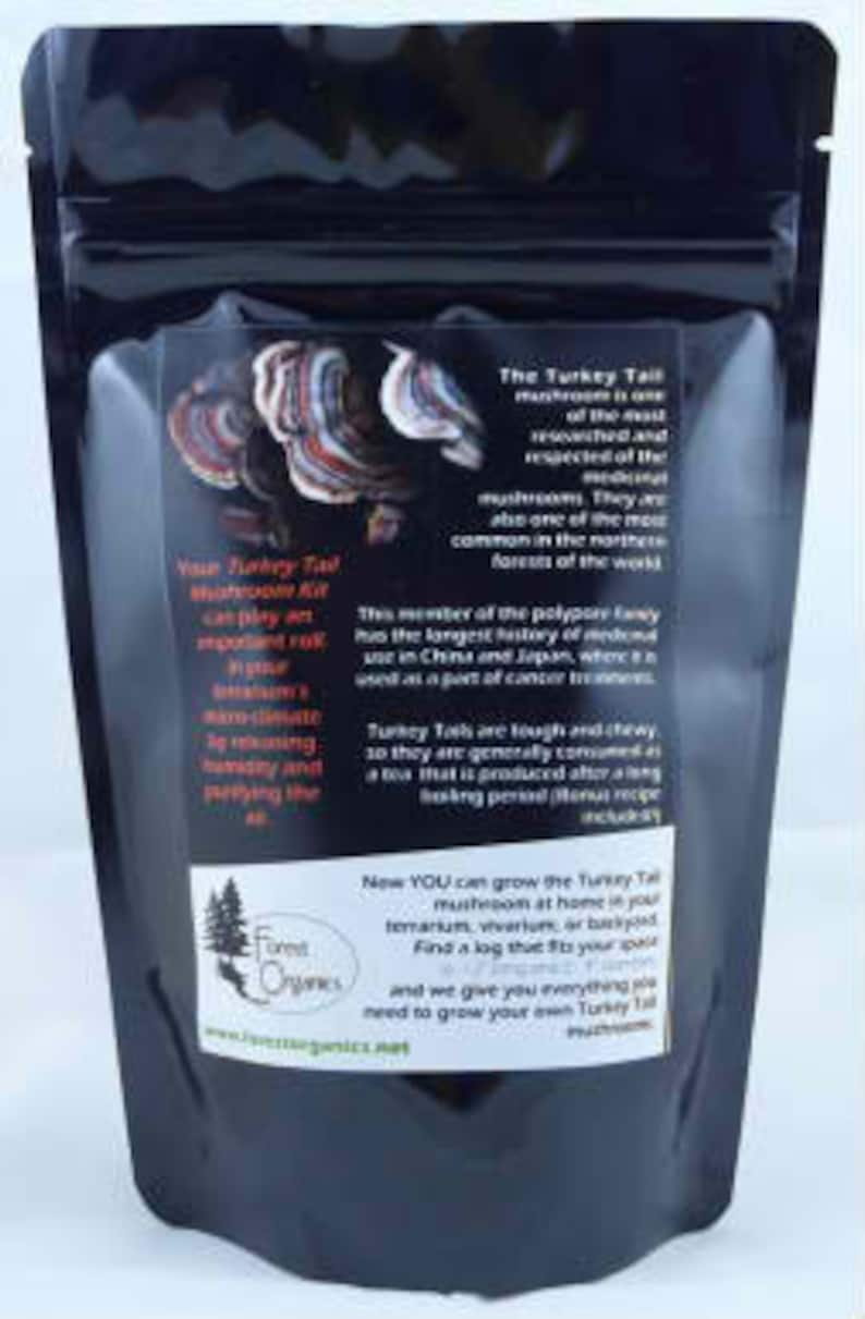 Turkey Tail Mushroom Growing Kit for Terrariums Medicinal Tea Etsy