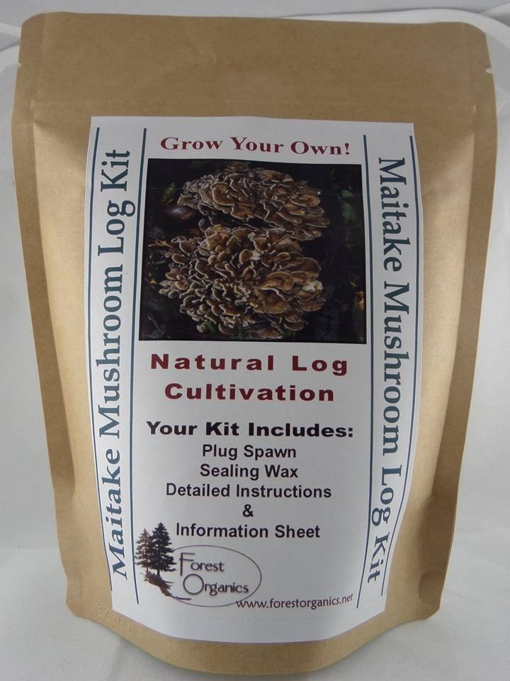 Maitake Mushroom Growing Log Kit Medicinal Mushroom Gorws For Etsy