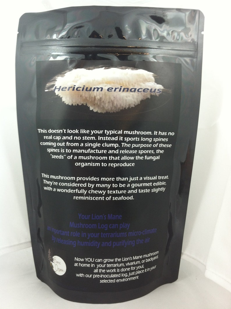 Lion's Mane Mushroom Growing Habitat Log Pre Inoculated Etsy