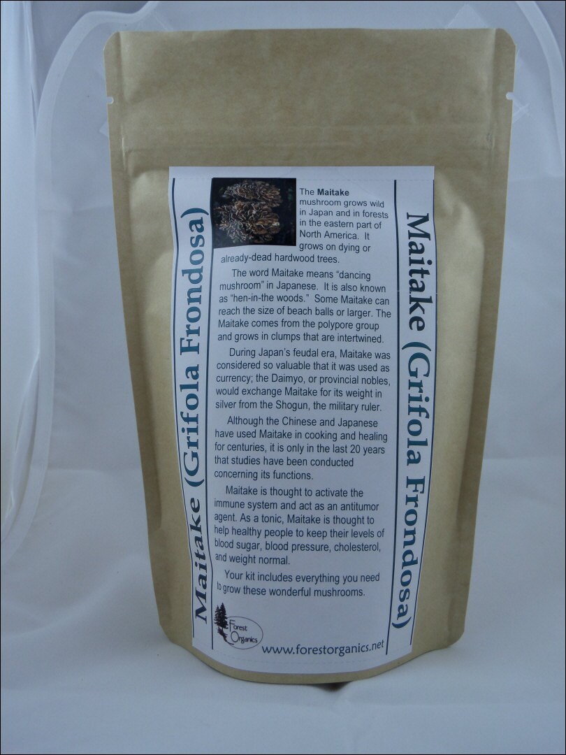 Maitake Mushroom Growing Log Kit Medicinal Mushroom Gorws for Etsy