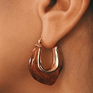 May include: Close-up of a gold-toned hoop earring with a brown, marbled interior. The earring is worn on a person's ear, showcasing the jewelry's shape and color. The earring has a smooth, polished finish, reflecting light.