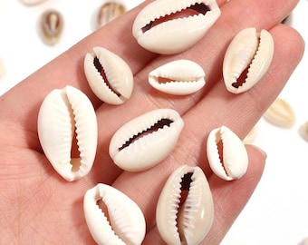 Natural Seashell Beads | Multisize Shell Spacer Beads | 23–85 Pieces for Bracelets, Necklaces & Earrings