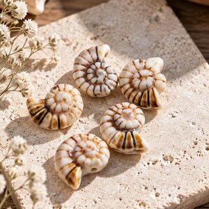 May include: Five small, spiral-shaped beads resembling ammonite fossils. Each bead features a cream-colored base with brown, radiating lines and a central coil pattern. The beads are arranged in a cluster, showcasing their detailed, textured surfaces and distinct, curved forms, highlighting their intricate design and natural-looking appearance for jewelry making.