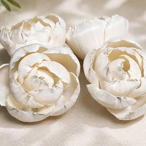 Op de afbeelding: Vier gebroken witte, handgemaakte bloemen gemaakt van dunne, gelaagde houtkrullen. Elke bloem heeft een ronde structuur met meerdere bloemblaadjes, delicate gekrulde randen en een natuurlijke, matte textuur, gerangschikt in een groep.
