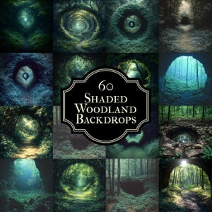 Op de afbeelding: Een collage van 60 schaduwrijke bosachtergronden. De afbeeldingen tonen verschillende bosscènes met paden, tunnels en natuurlijk licht. Het kleurenpalet wordt gedomineerd door groen en blauw, wat een serene en meeslepende sfeer creëert.