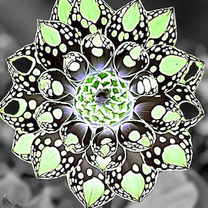 Neon Flower Digital Print Artwork