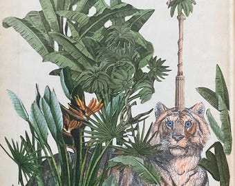 Eye of the Tiger Original Collage Art by Katie McCann