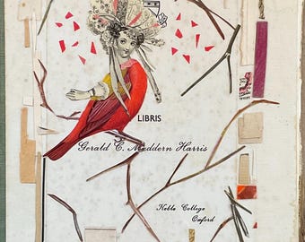 Paper Aviary 4 Original Collage Art by Katie McCann