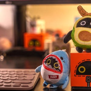 Now it is my turn to stand tall! Avocado says.