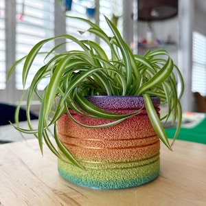 Fuzzy Rainbow Planter: 3D Printed Colorful Plant Pot with Drainage [New colors added!]
