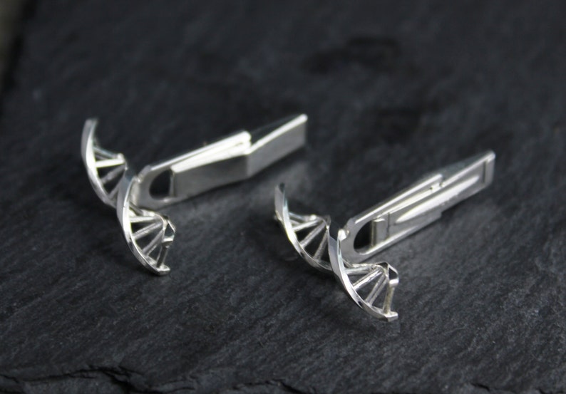 Pu&ograve; includere: Un paio di gemelli d'argento con un design a doppia elica di DNA. I gemelli sono realizzati in metallo lucido e hanno uno stile moderno e minimalista.