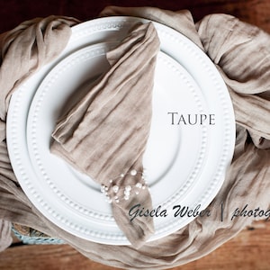 May include: A taupe fabric napkin folded into a triangle shape on a white plate with a beaded edge. The napkin is decorated with a string of white pearls. The text "TAUPE" is printed on the plate.