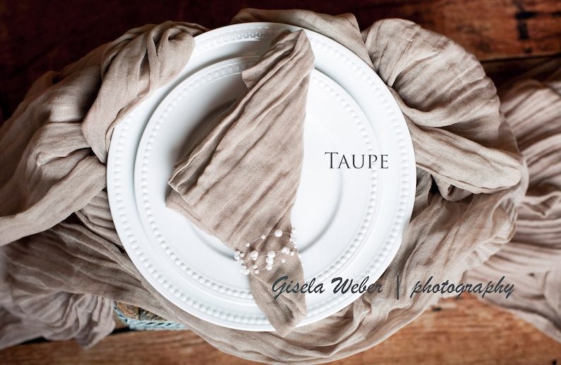 May include: A taupe fabric napkin folded into a triangle shape on a white plate with a beaded edge. The napkin is decorated with a string of white pearls. The text "TAUPE" is printed on the plate.