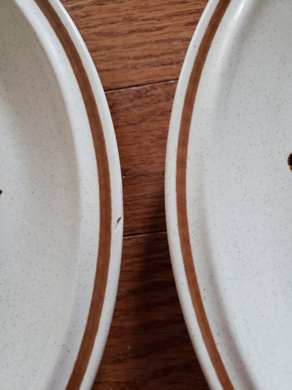 Download 1 X Dinner Plate 10 6 Summertime Floral Expressions Stoneware Plates Home Living Vadel Com