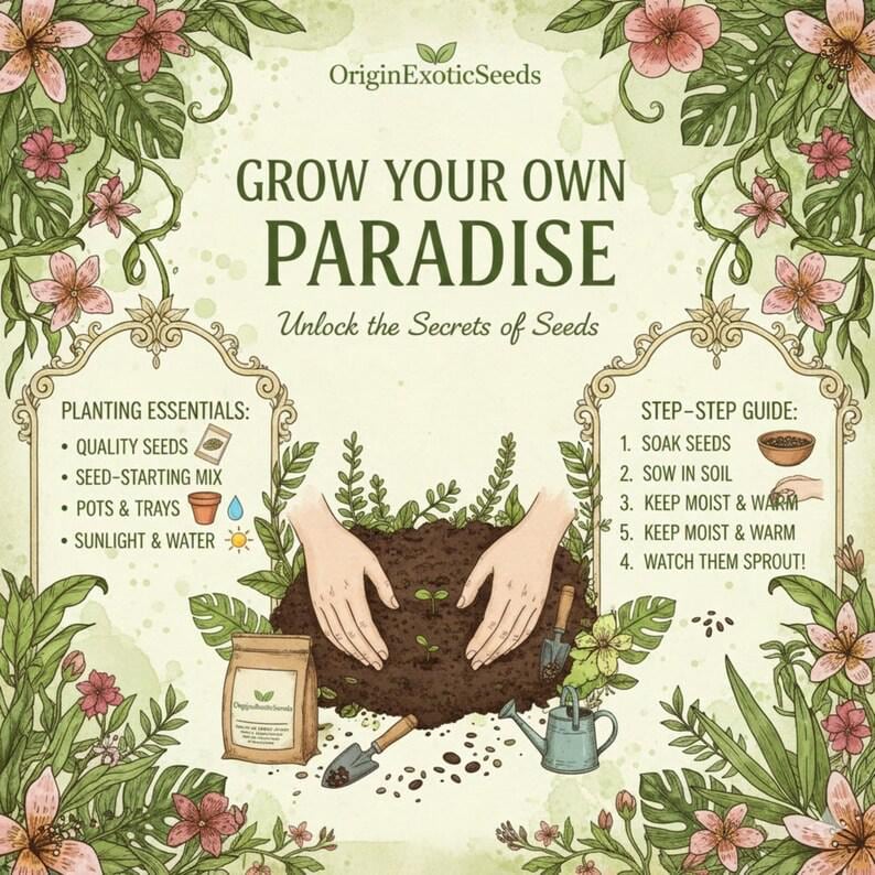 Peut inclure: Une affiche p&eacute;dagogique intitul&eacute;e GROW YOUR OWN PARADISE par OriginExoticSeeds. Elle pr&eacute;sente des illustrations botaniques de fleurs roses et de feuilles vertes, une liste d'essentiels de plantation et un guide &eacute;tape par &eacute;tape.