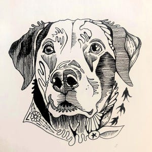Custom Hand Drawn Pet Illustration | Custom Drawing Pet Portrait | Dog Cat Portraits