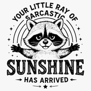 Puede incluir: Ilustración en blanco y negro de un mapache con los brazos extendidos, rodeado por un arco iris y estrellas. El texto dice: "YOUR LITTLE RAY OF SARCASTIC SUNSHINE HAS ARRIVED."